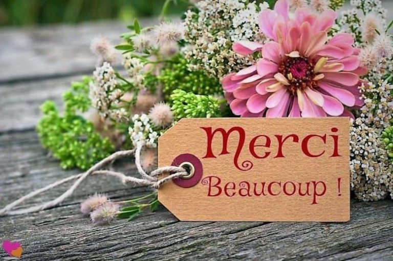 merci-beaucoup-jardin-francais