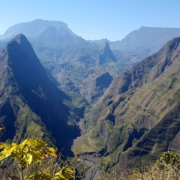 la réunion