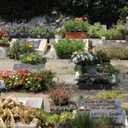 cimetière